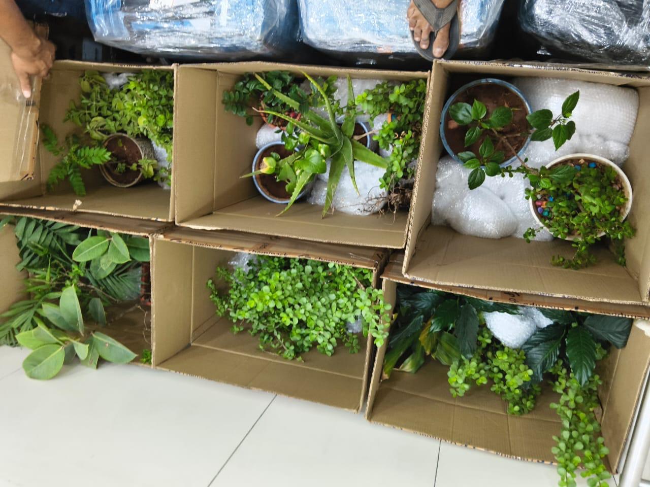 Professional Packers and Movers in Bachupally Hyderabad