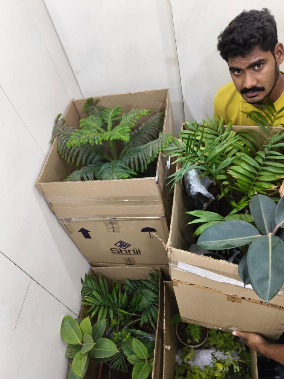 Professional Packers and Movers in Bachupally Hyderabad