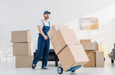 Amaravati Cargo Packers Movers